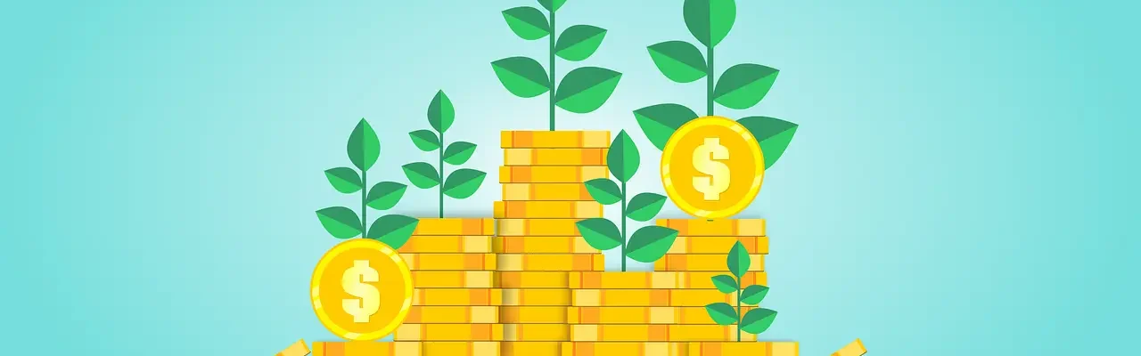 Smallcap Mutual Funds
