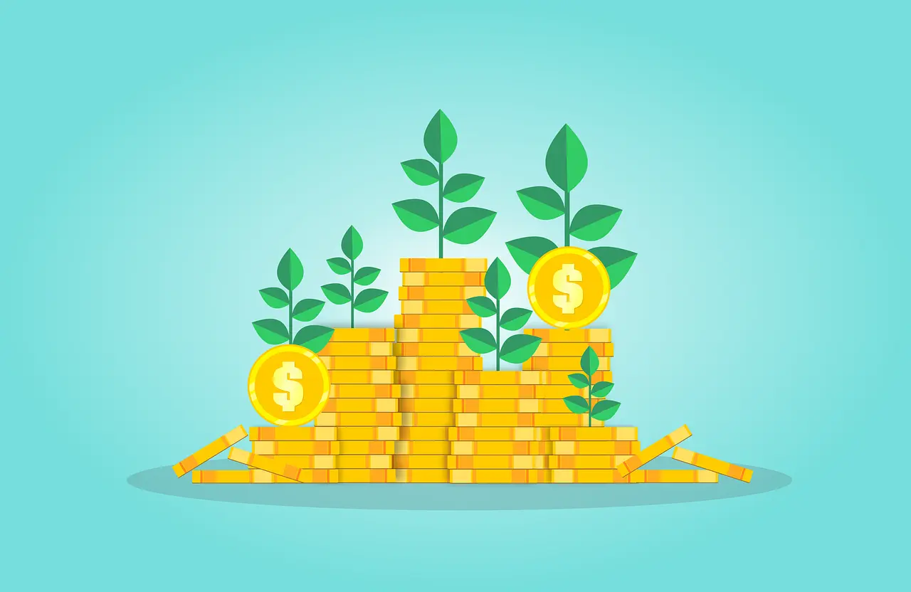 HDFC vs Franklin Fund